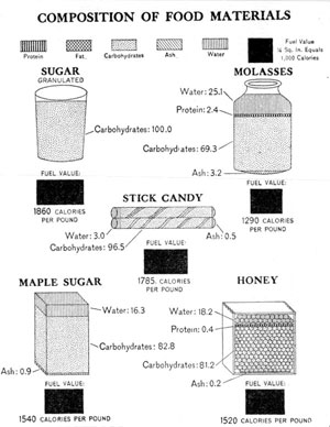 [Illustration: Composition of food materials]